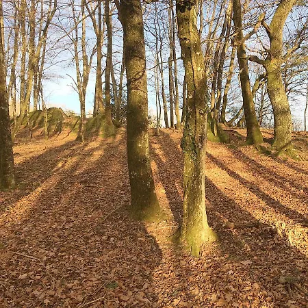 לינה וארוחת בוקר La Bouriotte, D'hotes Sycomore, Labastide-Rouairoux