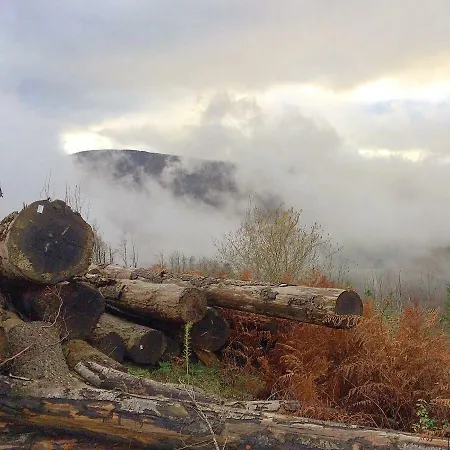 Bed & Breakfast La Bouriotte, D'hotes Sycomore,