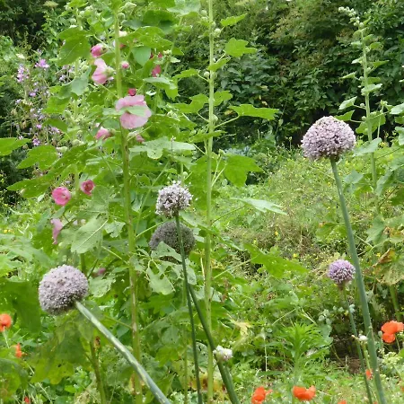 La Bouriotte, D'hotes Sycomore, 3* Labastide-Rouairoux