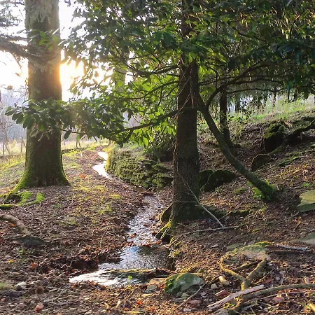 לינה וארוחת בוקר La Bouriotte, D'hotes Sycomore,