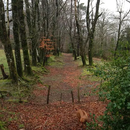 La Bouriotte, D'hotes Sycomore,