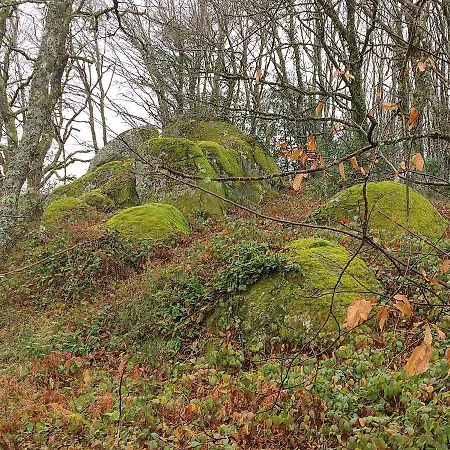 La Bouriotte, D'hotes Sycomore, 3*