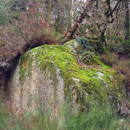 La Bouriotte, D'hotes Sycomore, Bed & Breakfast 3*