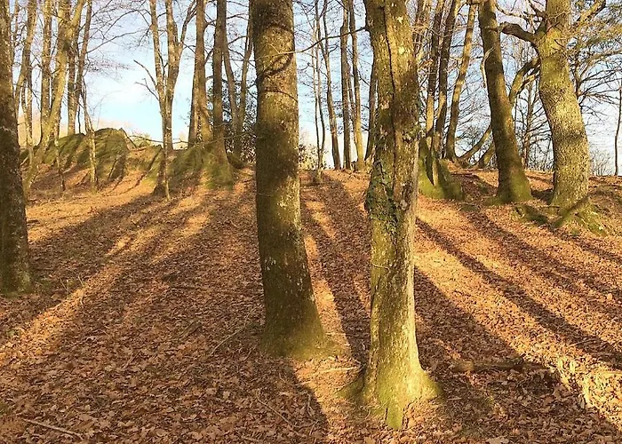 Bed and breakfast La Bouriotte, D'hotes Sycomore, Labastide-Rouairoux