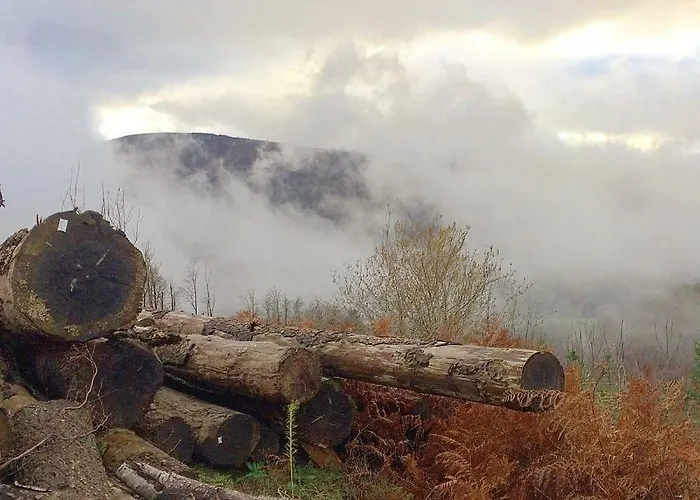 Bed and breakfast La Bouriotte, D'hotes Sycomore,