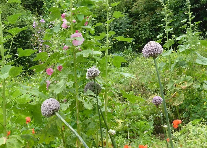 La Bouriotte, D'hotes Sycomore, 3* Labastide-Rouairoux
