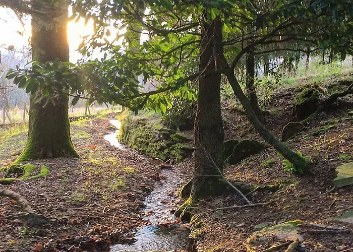 Bed and breakfast La Bouriotte, D'hotes Sycomore,