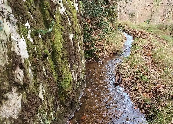La Bouriotte, D'hotes Sycomore, Labastide-Rouairoux