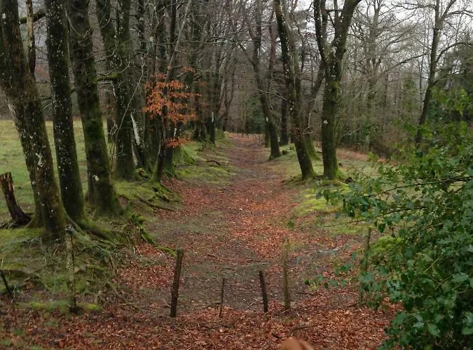 La Bouriotte, D'hotes Sycomore,