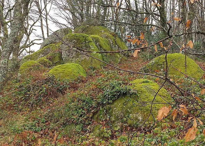 La Bouriotte, D'hotes Sycomore, 3*