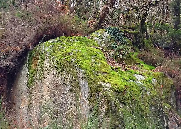 La Bouriotte, D'hotes Sycomore, Bed and breakfast 3*