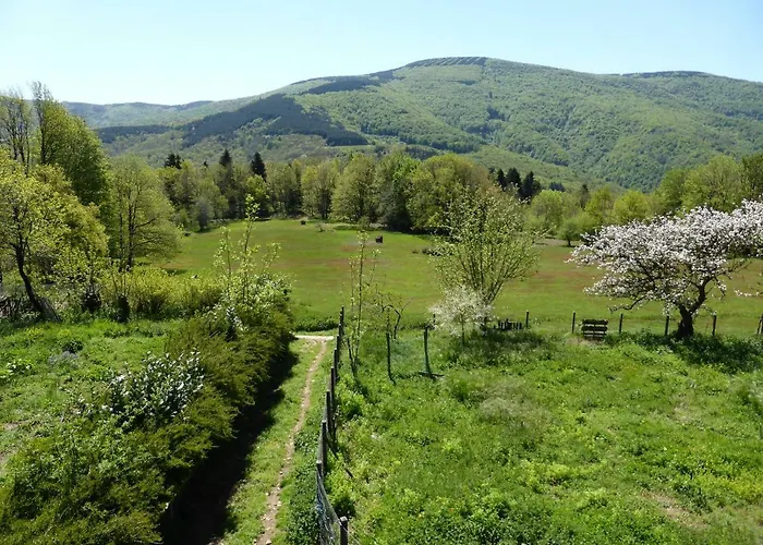 La Bouriotte, D'hotes Sycomore, Bed and breakfast